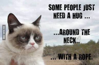 Some People Sarcastic Cat Funny