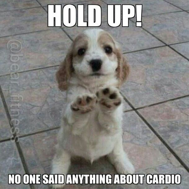 no one said anything about cardio meme